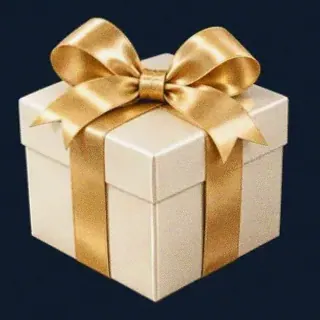 Wrapped gift box — CuntSpin